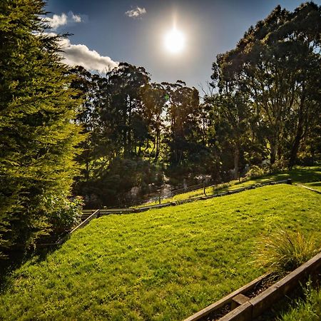Platypus Waters B&B Smithton Exteriör bild